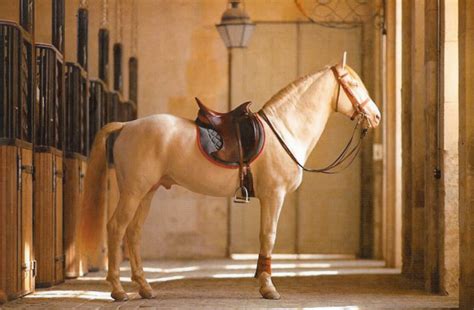 hermes mediolan|hermes saddles.